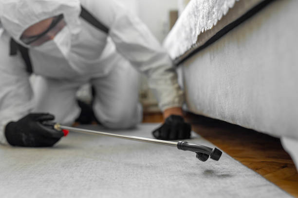 Professional Ant Control technician working in Western Lake, TX