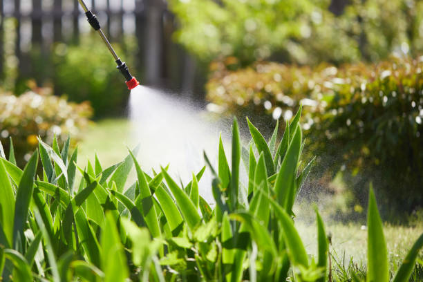 24/7 Emergency Ant Control experts in Western Lake, TX