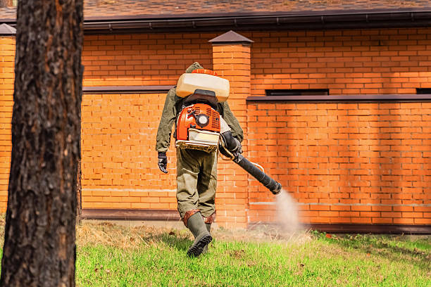 Trusted Ant Control service in Western Lake, TX - Nex Pest Control